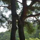 연리지 - 군포시 당정역로4번길 11 | 연리지