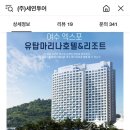 세연투어 - 중구 세종대로20길 19 | 세연투어