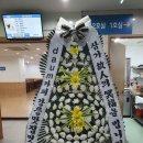 [부고] 이든(홍혜정) 모친상 이미지