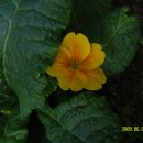 양지 어린이집 이미지