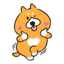 옥정강아지 이미지