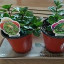 어천농장 이미지