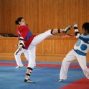 국가대표기합소리태권도 이미지