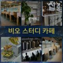 비오스터디까페 네이버블로그