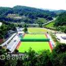 청풍명월국제하키장 이미지