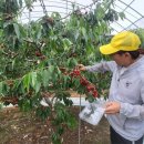 장흥슈퍼 이미지