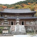 화엄사 | 한국의 국보 : 구례 화엄사 각황전