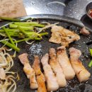 돼지세끼 이미지