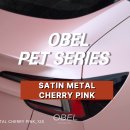 핑크 체리 | 평택랩핑 테슬라 랩핑 오벨(OBEL) SATIN METAL CHERRY PINK 사틴 메탈 체리 핑크 전체랩핑 후기