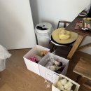 예등 | ෆ wedding 14🕊️ 꽃술예 촬영 부케 상담 및 촬영 후기(feat. 헤이허니)