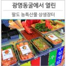 광명동굴 (경관광장) 이미지