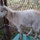 최종주동물병원 이미지