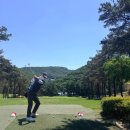 혜수골프