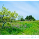 송원목장 이미지