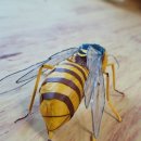 장수비닐봉투 이미지