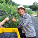 신만농장 이미지