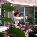 대천스토리 이미지