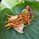 진성생고기 | 영등포역 고기집 삼겹살이 맛있는 진성 숯불 생고기 후기
