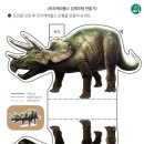 공룡컴퓨터 이미지