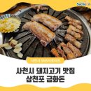 삼천포금화돈