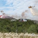 정월농산 이미지