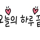 정찬홍웨딩 이미지