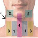 갑상선질환 자가진단 이미지