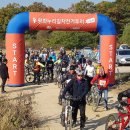 한강철책길 이미지