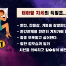 잠자는 자세로 보는 나의 성격 유형 6 이미지