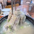 풍전삼계탕 | 40년전통의삼계탕 원신흥동 풍전삼계탕 대전 유성구 삼계탕