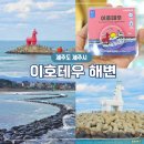 등대회관 | 제주도 이호테우 해변 해수욕장 말등대 포토존 쌍원담