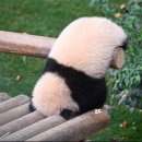 WR(인천광역시 서구)-[검단로]-하-91 | 3월 일기