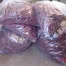 풍성농원 이미지