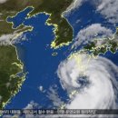 처인성로 이미지