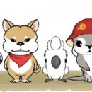 리브가유통 이미지