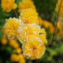 하늘정원3 이미지