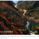 영춘전통시장 | 단양더즌호텔에서 만나는 가을 단풍 여행의 정점 | 1박 2일로 완성하는 붉은 단양, 놓칠 수 없는 숨은...