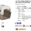 월드켄넬 이미지