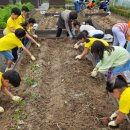 산서초등학교 이미지