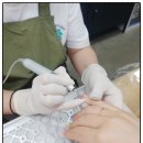 네일오쏭