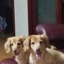 남현우동물병원 이미지