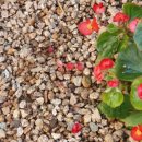 기로(여)경로당 이미지