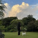 나의 제주집 | 제주 독채 펜션 나의제주집 숙박 후기 | 제주감성숙소 표선해변펜션 노천탕펜션 제주독채숙소