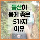 💥필승💥'너 땜에 산다' 8️⃣2️⃣0️⃣기 9월 17일~18일 (금,토) 출부입니다🍂🍁 이미지