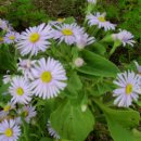 남대구초등학교 이미지