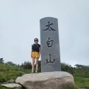 어평재휴게소매점 | 태백산 우중산행 등산코스 어평재 휴게소-장군봉-천제단 -당골탐방지원센터 후기!
