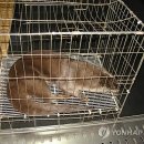 수달 화장실 이미지