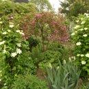 꽃순이네 이미지