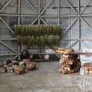 오도이촌 이미지