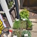 구로농장 이미지